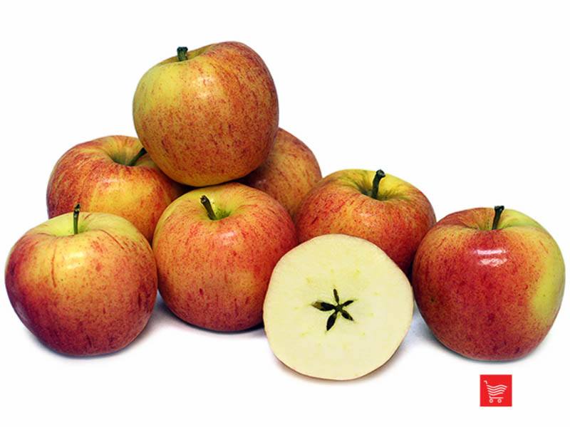 Яблоки гала фото и описание. Сорт яблок Гала маст. Сорт яблони Гала. Гала яблоки Джонаголд. Яблоки Роял Гала.